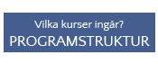Programstruktur för SA